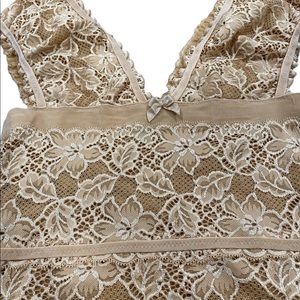 The Limited Womens Sleeveless Blouse Lace In Tan Size Medium